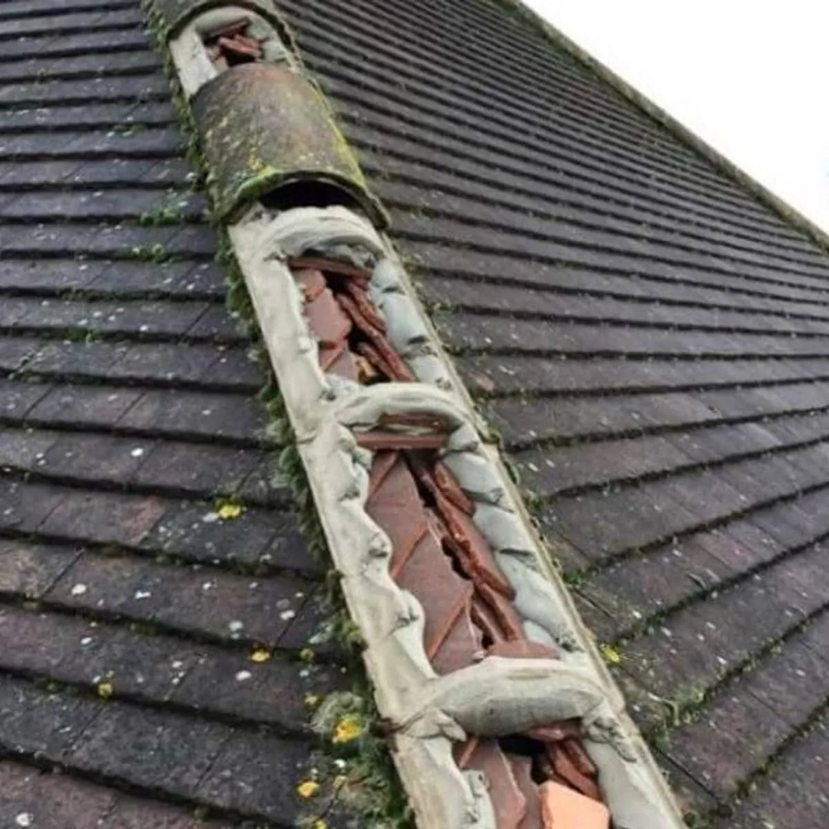 Emergency ridge repair