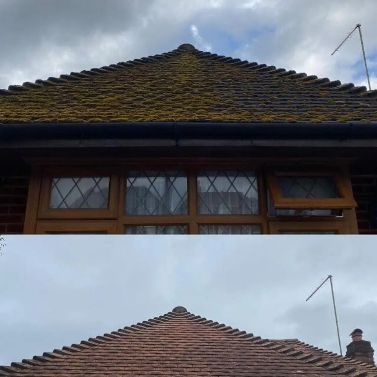 Roof cleaning before and after
