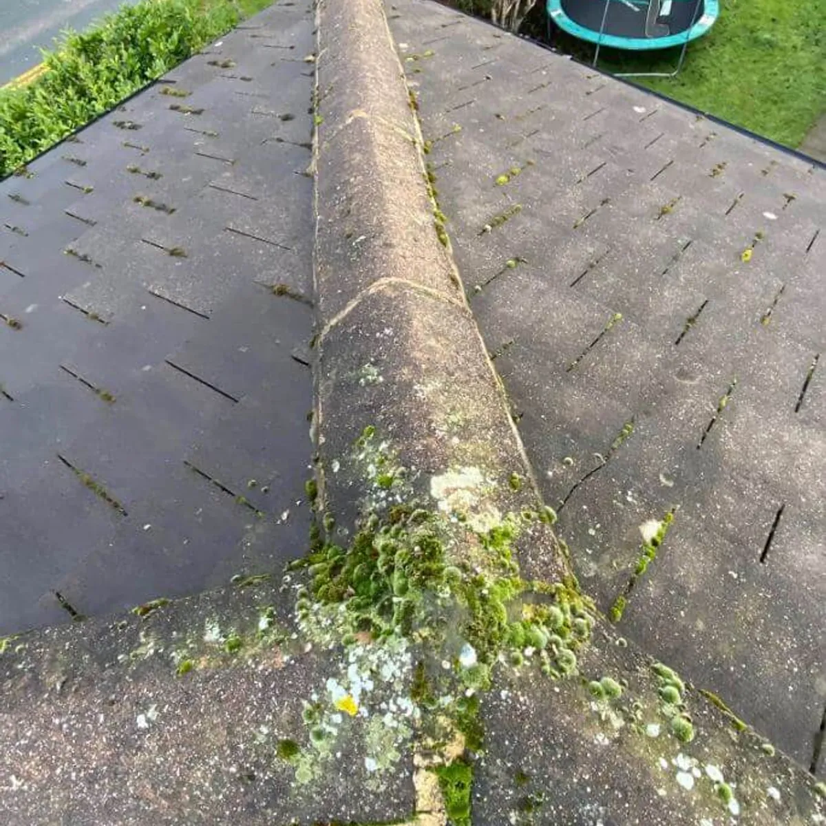 Moss covered roof before cleaning